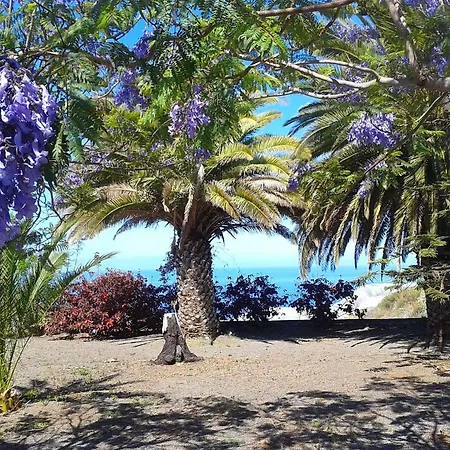 La Palma Sun Nudist Lejlighed *
