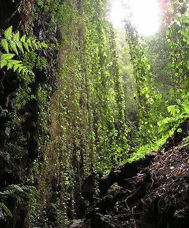 La Palma Sun Nudist *